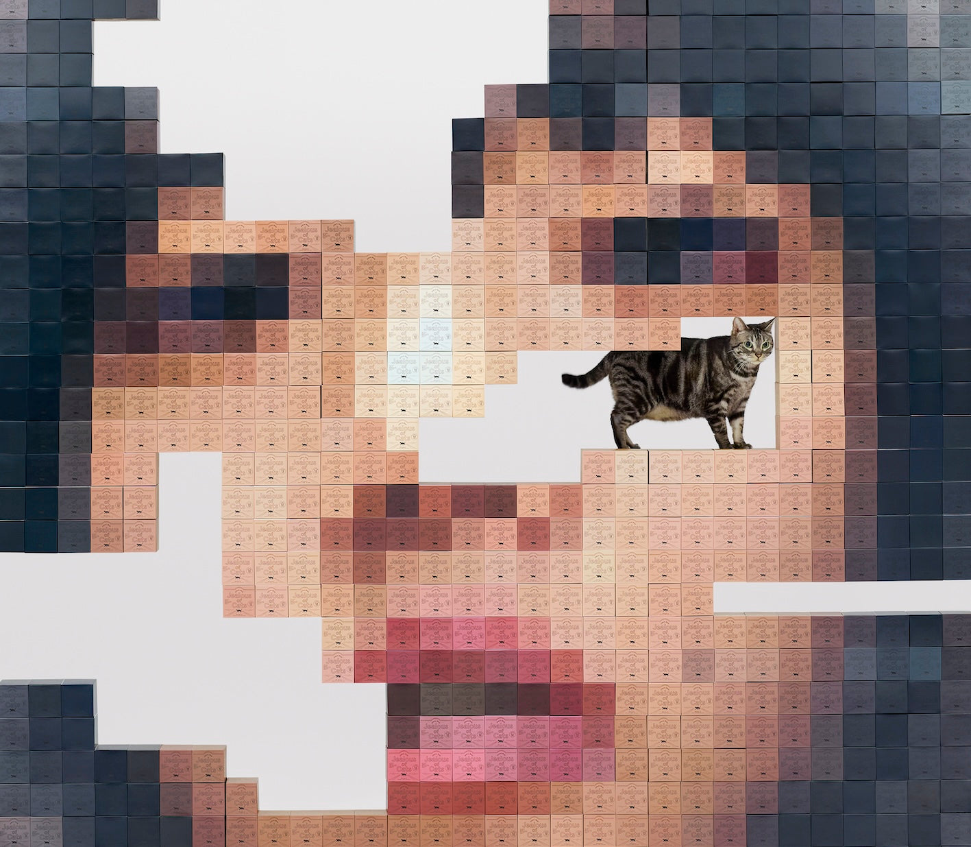 猫にジェラシー(初回限定Blu-ray盤)