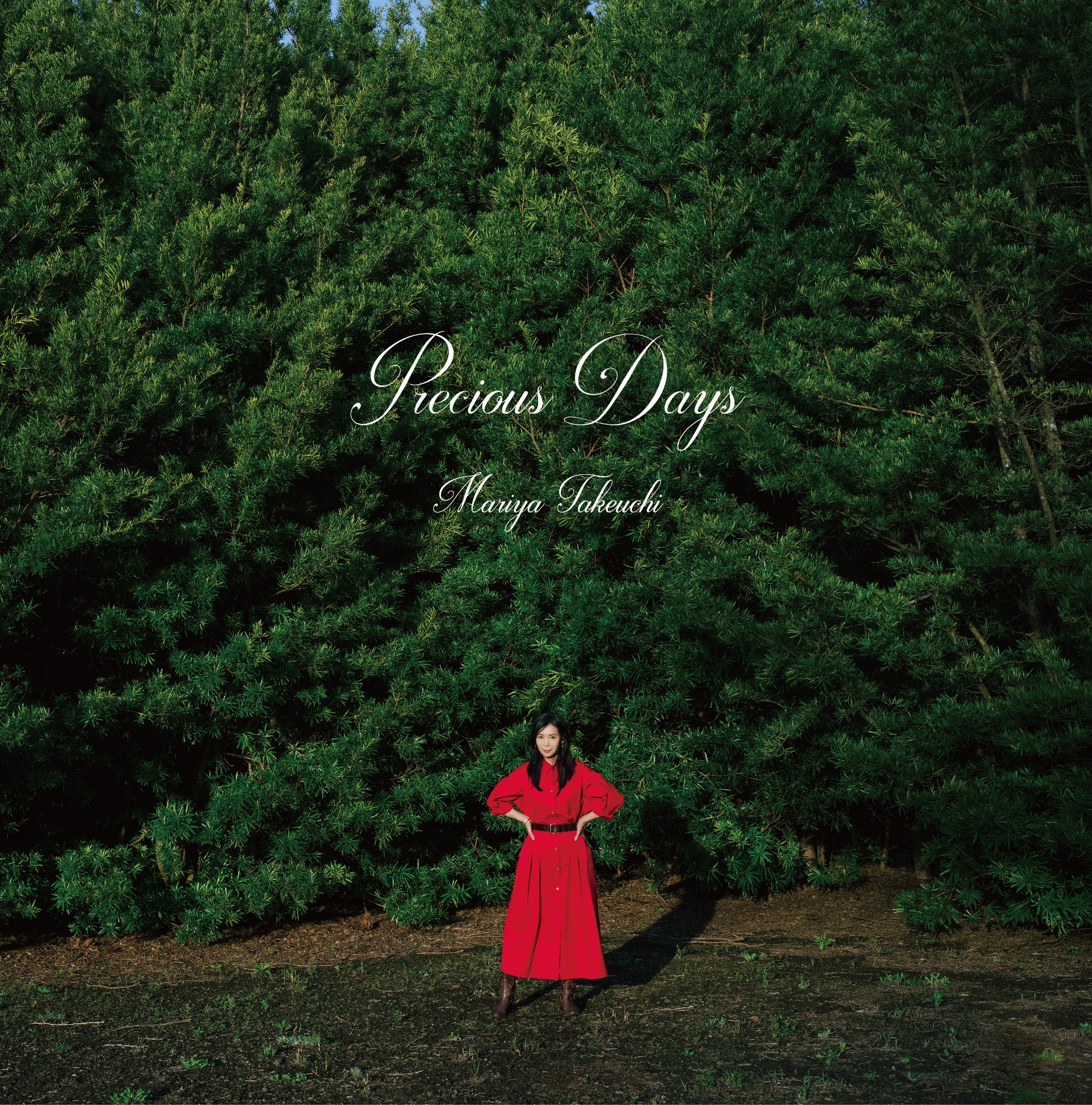 Precious Days【2枚組アナログレコード/完全生産限定】