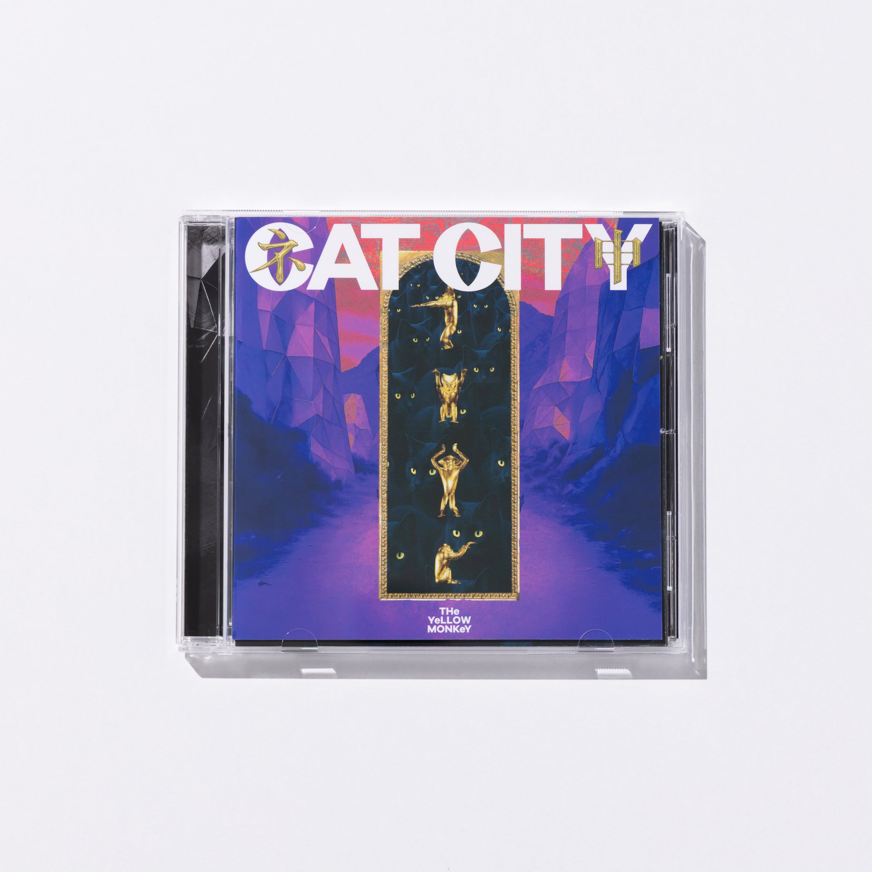 CAT CITY(初回生産限定盤)