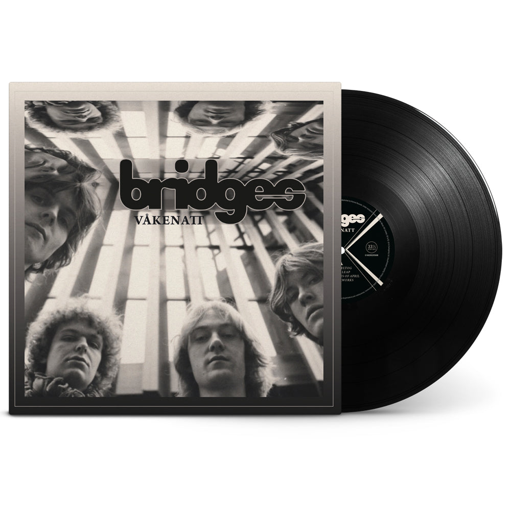 【輸入盤】V?kenatt (1LP)