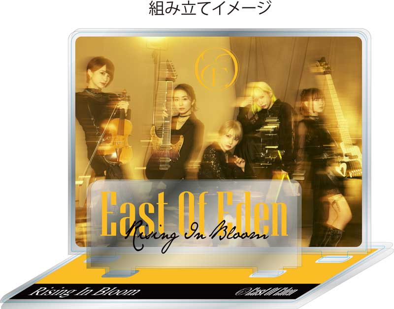 Rising In Bloom（WMS限定豪華盤）