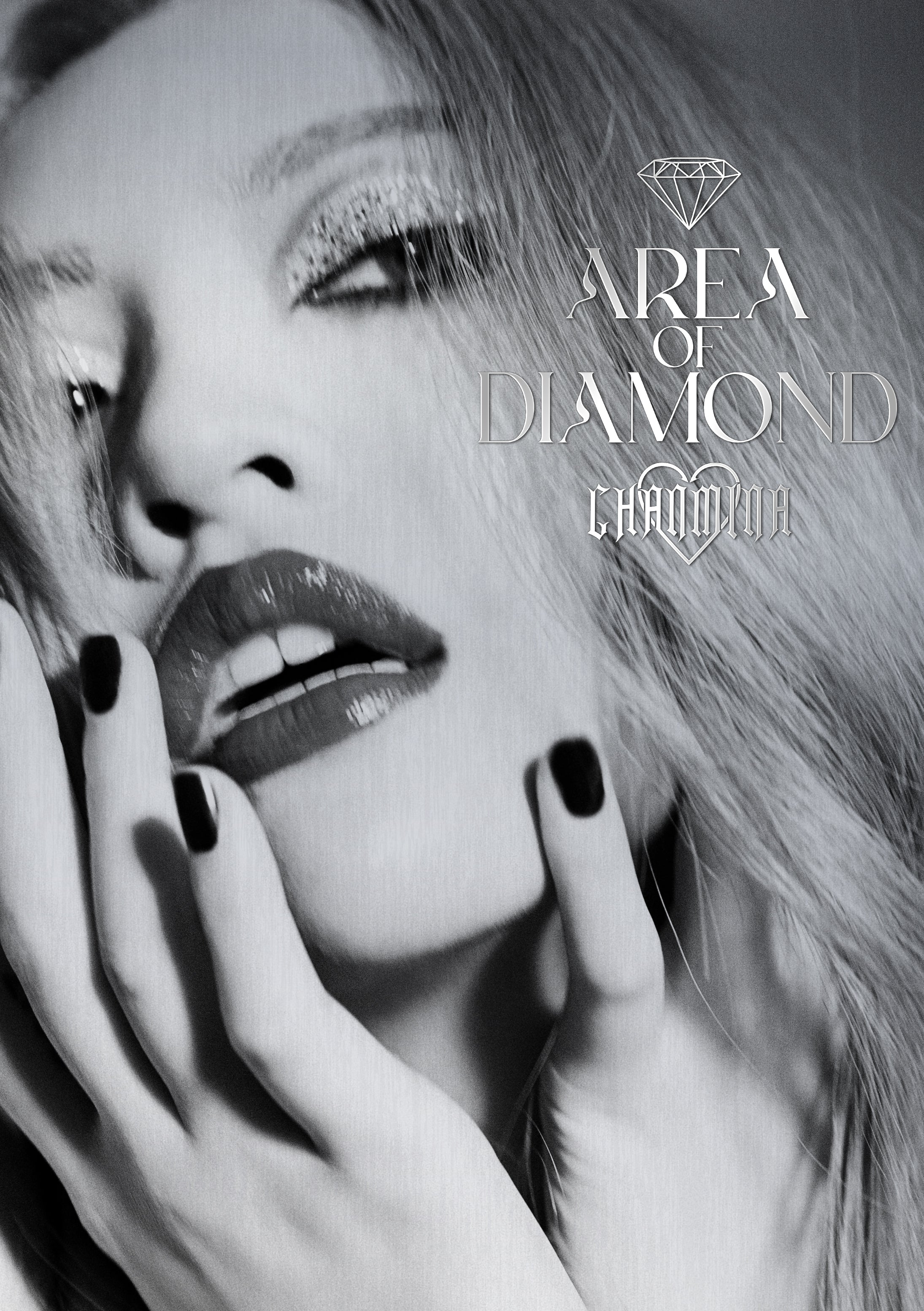 AREA OF DIAMOND(DVD2枚組)