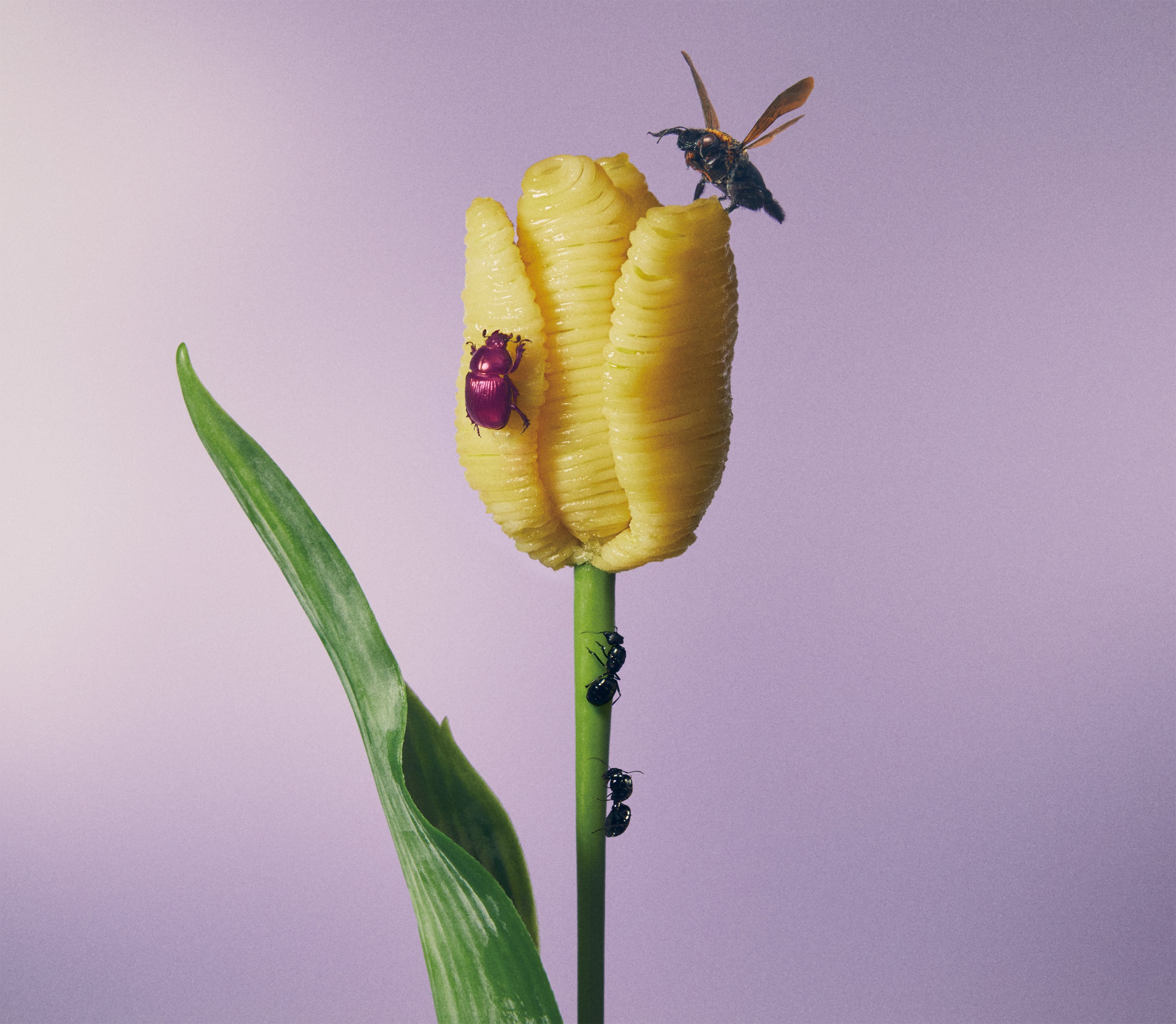 おいしいパスタがあると聞いて